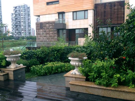image006.jpg